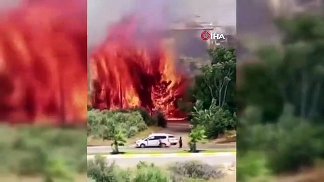 Le feu dans la brousse a transformé des ruches pleines d'abeilles en cendres