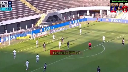 Santos 2 x 2 Botafogo RJ Melhores Momentos (23.07.2023) Brasileirao