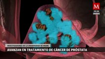 Investigadores de la Universidad de Miami avanzan en tratamiento de cáncer de próstata