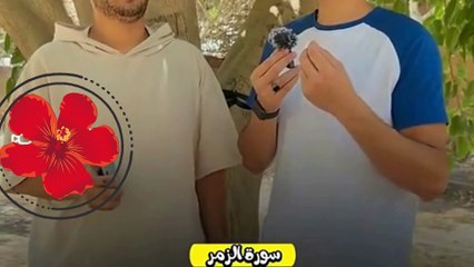 صوت يبكي الحجر  Ali Al-Farhoud channel, the Holy Quran (1)