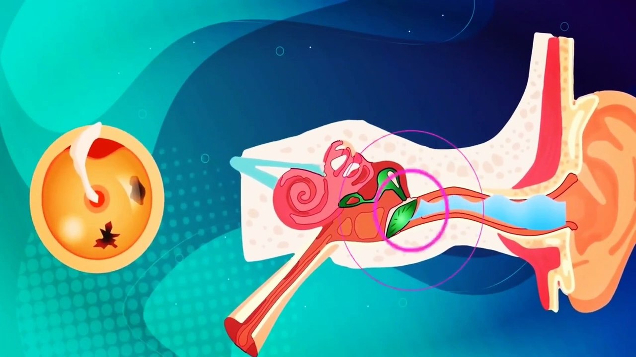 Amazing facts about human body | amazing fact | reality facts