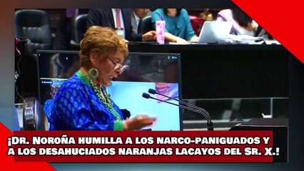 ¡VEAN! ¡Dr. Noroña humilla a los narco-paniguados y a los desahuciados naranjas lacayos del Sr. X.!