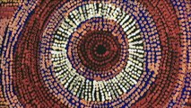 SA government to review APY artworks over authenticity doubts