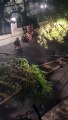 Homem rouba celular, vítima reconhece suspeito e solta cachorro para pegá-lo em bairro nobre de Salvador