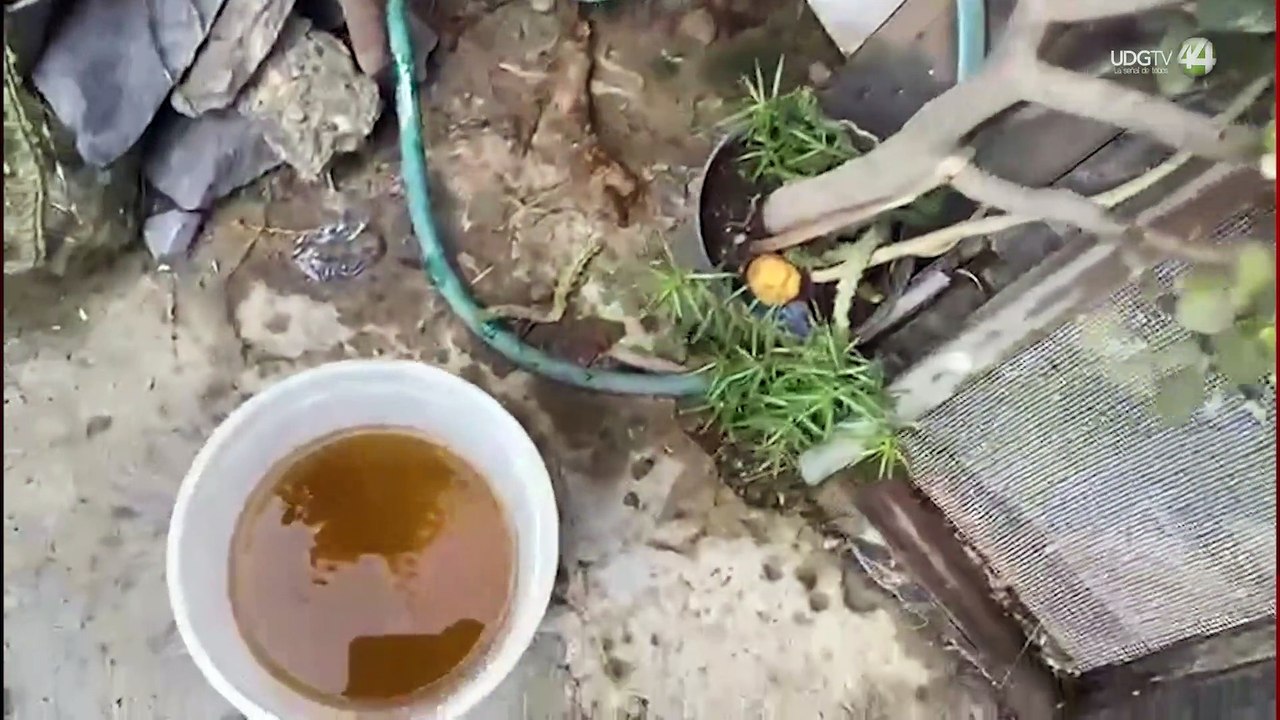 Especialista advierte de problemas a la salud por agua turbia que distribuye el Siapa