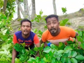 Real comedy | full of comedy and entertainment