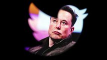 Elon Musk says Twitter to change logo