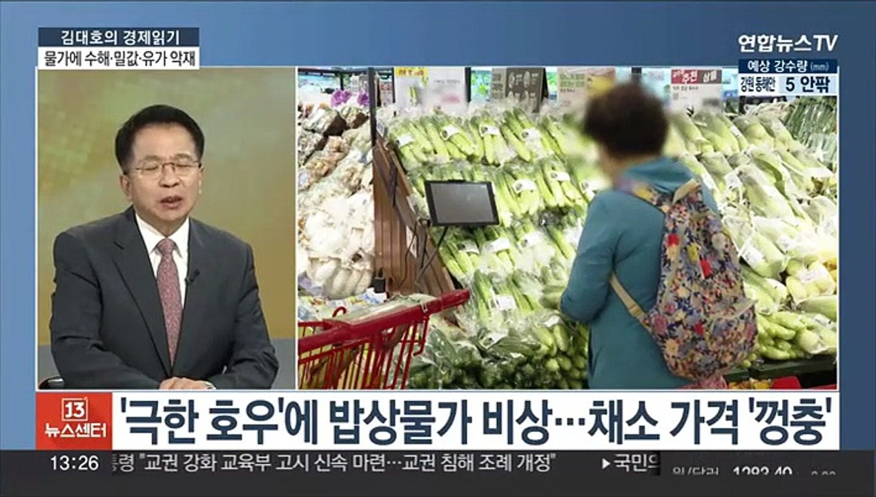[김대호의 경제읽기] '극한 호우'에 밥상 물가 초비상…정부, 물가안정 총력