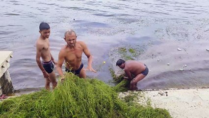 हाथों से मिलाए हाथ और साफ कर दी एशिया की दूसरी सबसे बड़ी कृत्रिम झील... देखें वीडियो