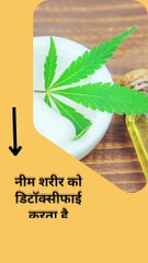 क्या आप जानते हैं नीम के फायदे ?