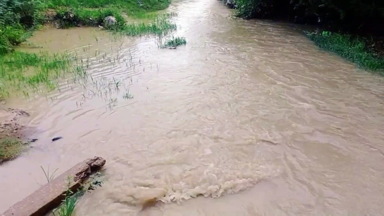 weather alert : मेघ गर्जना के साथ रात में बरसे...