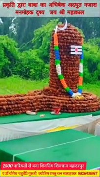 Shivling of coconut in Burhanpur, crowd is being seen
