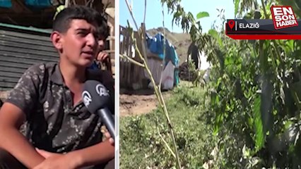 Yaylada çobanlık yapan Muhammet, LGS’de Türkiye ikincisi oldu