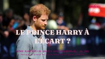 Le prince Harry à l’écart ? Une experte sort du silence, 