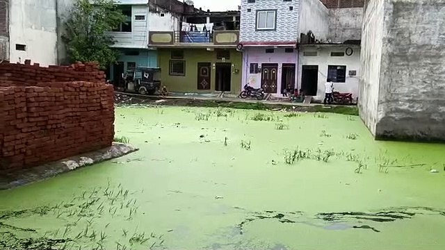 Ponds visible in every ward