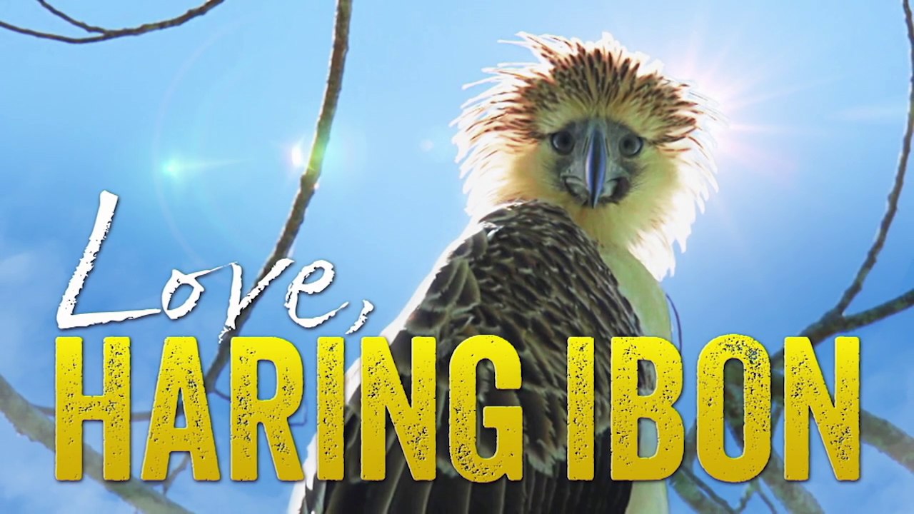 Letters from the Wild: Love, Haring Ibon | Born to be Wild