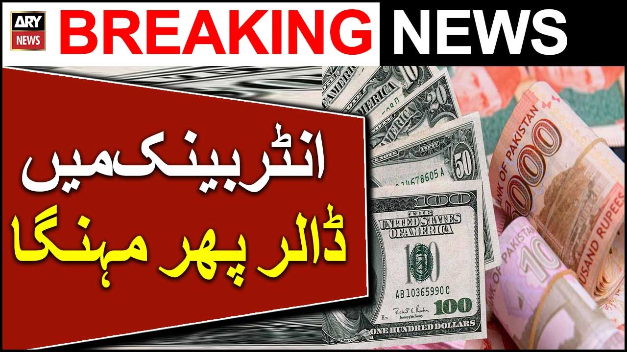 Dollar Mazeed Mehanga | Breaking News