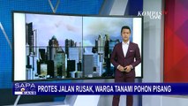 Protes Jalan Rusak, Warga di Sidrap Tanam Pohon Pisang di Tengah Jalan!