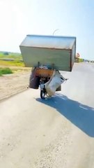 Livreur de l'extrême... Tout sur une moto