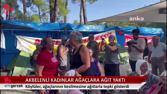 Akbelenli kadınlar ağaçların kesilmesine ağıt yaktı