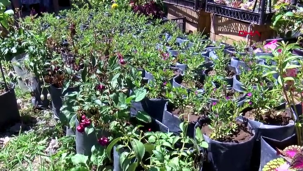 Des frères et sœurs vivant dans la même maison cultivent des fleurs et gagnent leur vie