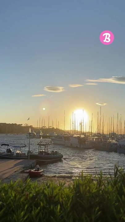 Spot : Villa Carmignac