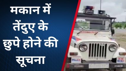 राजसमन्द: मकान में तेंदुए के छुपे होने की सूचना, तलाश जारी, देखिए खबर