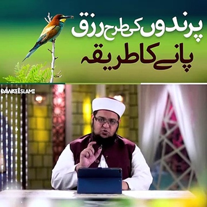 Insan ka rizq
