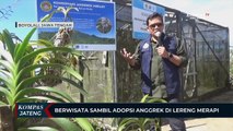 Berwisata Sambil Adopsi Anggrek di Lereng Merapi