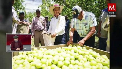 Claudia Sheinbaum: La Favorita en las Encuestas para las Elecciones Presidenciales 2024