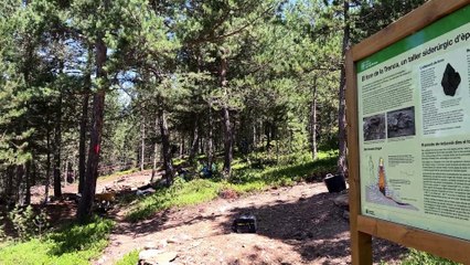 Documenten una de les primeres fargues del Pirineu al bosc de Virós, a la Vall Ferrera