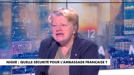 Michèle Peyron : «Les réseaux sociaux peuvent exacerber un sentiment anti-français»