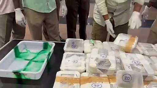 திருச்சி விமான நிலையத்தில் சுங்கத்துறை அதிகாரிகளை அலறவிட்ட பயணி; அரிய வகை பாம்புகள் பறிமுதல்