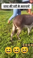 Follow For More Video's  Funny Comedy Moments 