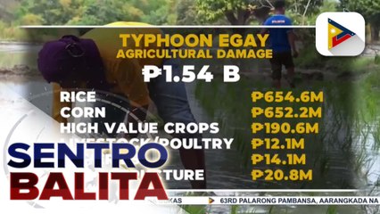 Download Video: DA: Halaga ng pinsala ng Bagyong #EgayPH sa sektor ng agrikultura, pumalo na sa P1.54B