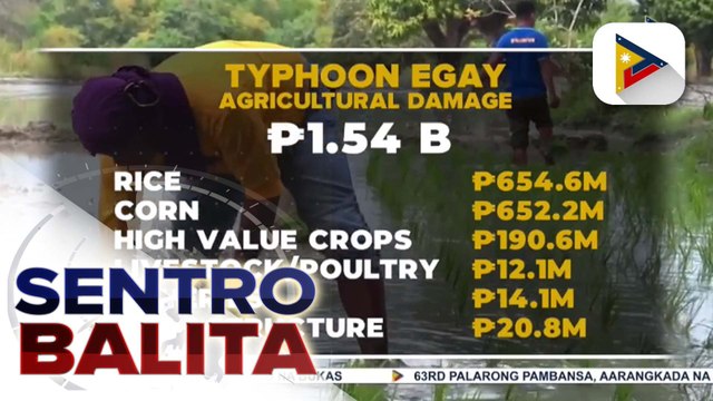 DA: Halaga ng pinsala ng Bagyong #EgayPH sa sektor ng agrikultura, pumalo na sa P1.54B