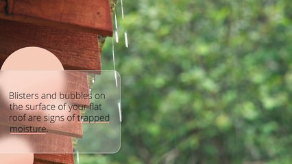 Coastside Roofing - Things to Note When your Roof Needs Replacing