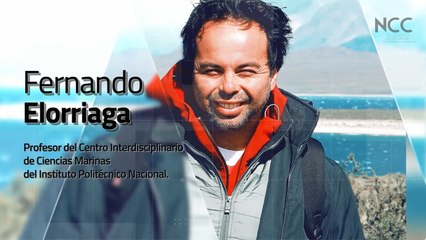 Reporte Climático 103 | Vida marina frente al cambio climático