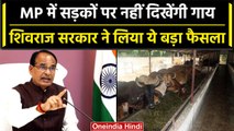 CM Shivraj Singh सिंह का बड़ा ऐलान , MP में युद्ध स्तर पर तैयर होंगी गौ-शालाएं | वनइंडिया हिंदी
