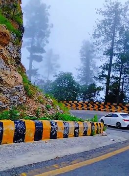 Nathia Gali Weather Today KPK Pakistan