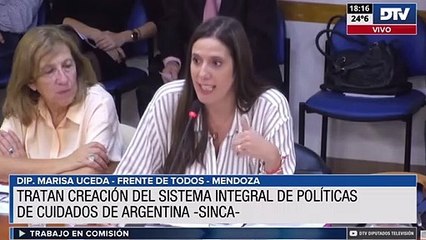 En plenario de Diputados se inició el debate sobre tares de cuidado