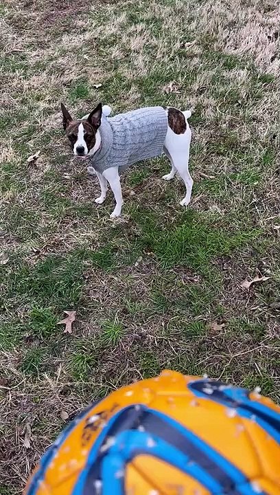 Princess runs with soccer ball