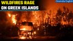 Greece Wildfire: Corfu latest Greek island to evacuate tourists after Rhodes | Oneindia News