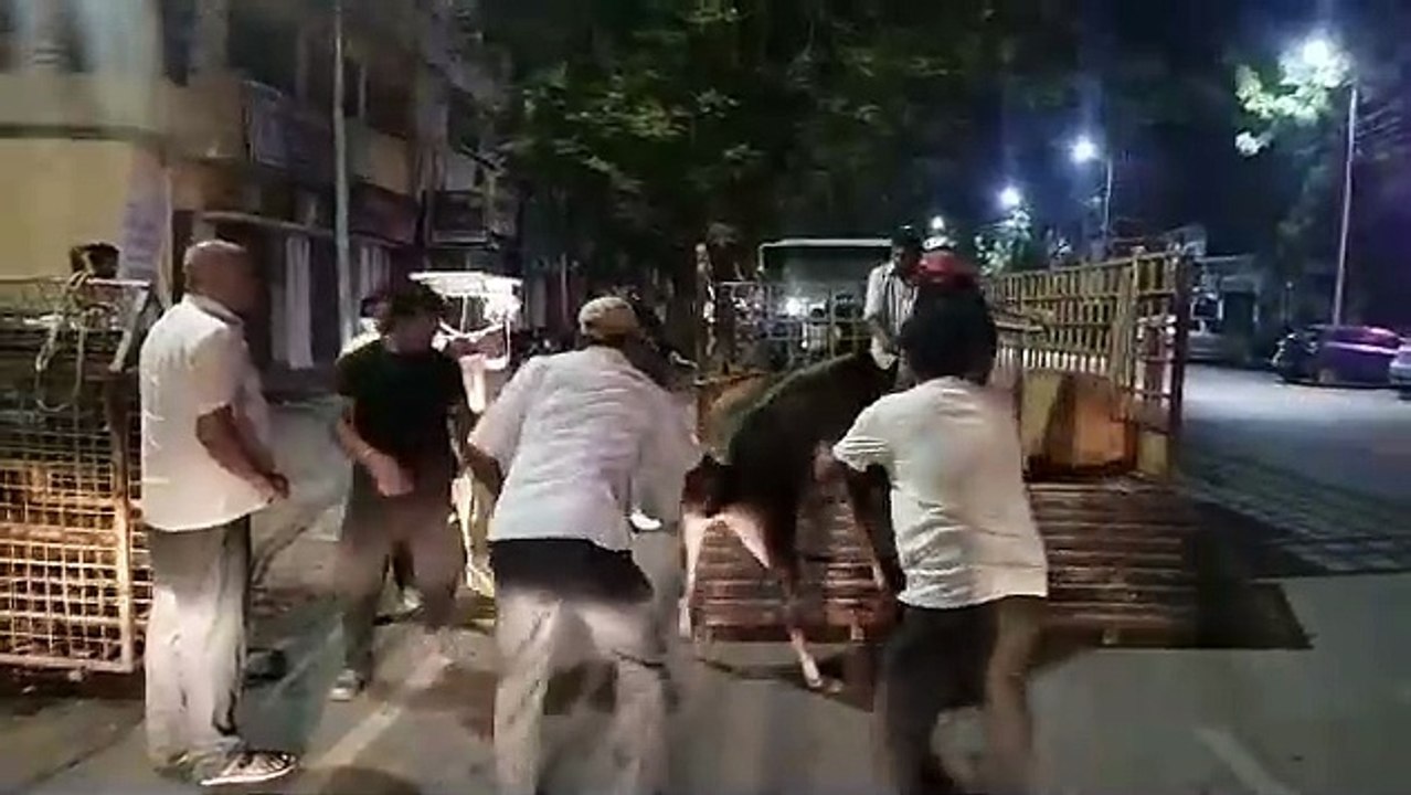 हाईकोर्ट की फटकार के बाद जागा निगम अब तक 1600 स...