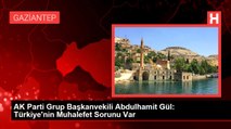 AK Parti Grup Başkanvekili Abdulhamit Gül: Türkiye'nin Muhalefet Sorunu Var