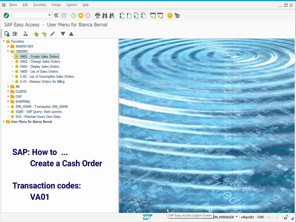 SD Create a Cash Order