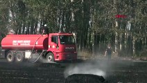 Edirne'de Buğday Tarlasında Yangın Çıktı