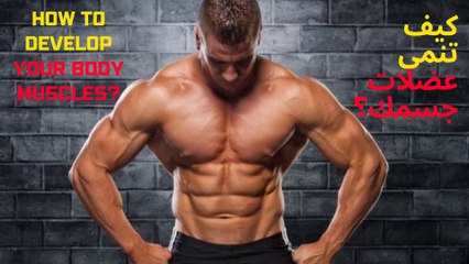 التحدي الثاني ان تفعل هذا في 30 يوم برنامج تدريب كامل كمال اجسام للمستوى المتوسط من gymft