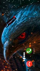 Eagle ringtone - new eagle ringtone. message ringtone notification ringtone iPhone ringtone