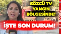 Sözcü TV Manisa'daki Orman Yangını Bölgesinde! İşte Son Durum